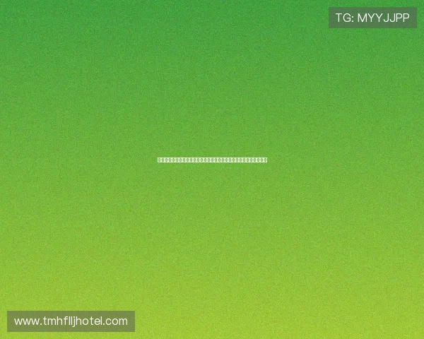 英超新赛季调整深度解析：布伦特福德对阵利物浦战术博弈与背后故事